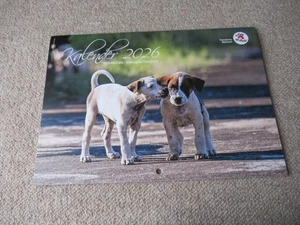 Wandkalender für 2026, Neu, von Vier Pfoten, 30 x 42 cm - Bild 1 von 3