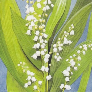 Tarjeta de simpatía Lily of the Valley con texto bíblico - números 6:26 - EB8708 - Imagen 1 de 1