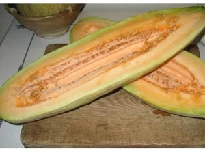 Honeymelon Banana - 5+ seeds - Heirloom - FRAGRANT and SPECIAL! Cm 014 - Picture 1 of 1