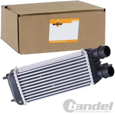 Nrf Intercooler Adatto Per Fiat Scudo Peugeot Expert Tepee Citroën Jumpy - Immagine 1 di 4