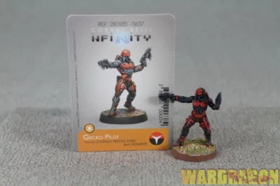 30 mm Infinity WDS pintado Nomads Gecko Pilot r78 Foto 1 de 4