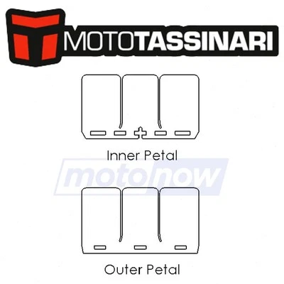 Moto Tassinari V-Force 3 Reed Valve Replacemet Petals for 2016-2020 Polaris ho - Image 1 of 4