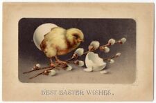 031021 Vintage Easter Postcard Hatching Chick With Pussy Willow 1911 Embossed