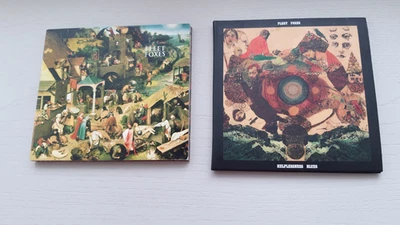 FLEET FOXES: Two CD Albums. Excellent. - Image 1 of 2