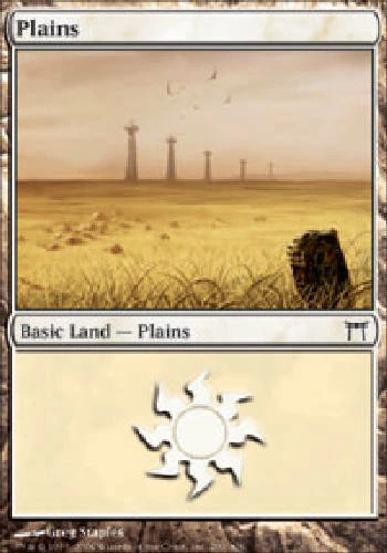 PLAINS #290 FOIL Champions of Kamigawa MTG Magic the Gathering Cards DJMagic - Image 1 of 1