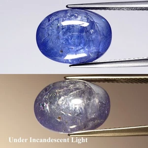 💎 7.62ct Oval Cabochon Natural Violet Blue Cat's Eye Tanzanite - Tanzania Gem - Picture 1 of 6