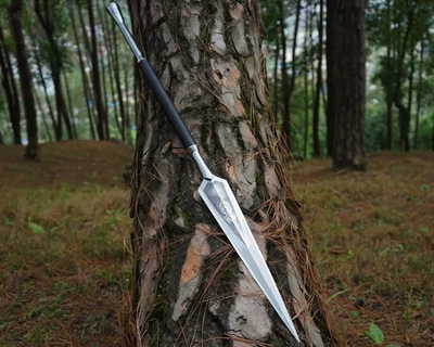 Lanza histórica | Lanza forjada a mano | Lanza coleccionable | Acero al carbono. Foto 1 de 4