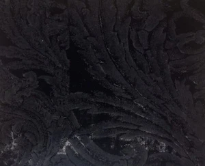 DESIGNERS GUILD Merelli Zambelli Raised Velvet Black Belgium Remnant New - Picture 1 of 1