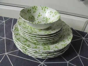 Conjunto Mixto Vintage Nikko Ironstone Patrón Floral Verde - Imagen 1 de 5