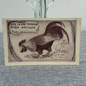 Antigua postal de 1911: Gallo "La vida es un rasguño tras otro" H.I.R. - Imagen 1 de 2