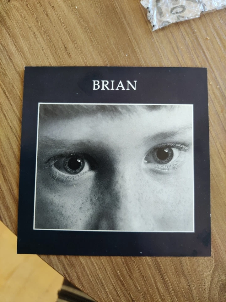 Brian Irish Indie Setanta Records France 1993 - Image 1 of 4