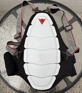Dainese Active Shield Evo Back Protector Size M - Picture 1 of 14