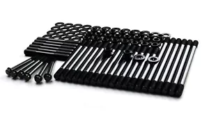 Head Stud Kit for 1989-1997 5.9l 12V Cummins Dodge - Foto 1 di 4