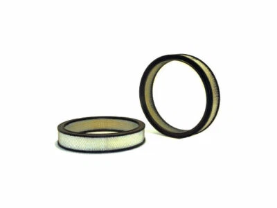 Filtro de aire para Ford Mustang 1970, 1973 WIX 81812JQ filtro de aire Foto 1 de 2