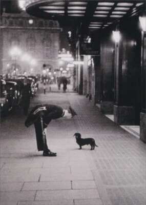 Tarjeta de agradecimiento Avanti Press Hotel perro divertido humor para sentarse en mascotas Foto 1 de 2