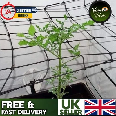 FLEXIBLE STRETCHY Scrog Net Netting 1.2m x 1.2m Plant Support Growing Tent - image 1 of 4