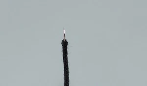 Duelund 0.2mm bulk silver wire sell at per meter !! - Picture 1 of 3
