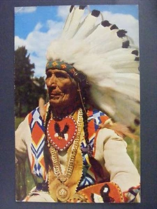 Indian Chief Full Dress Vintage Color Chrome Postcard 1950s - Picture 1 of 2