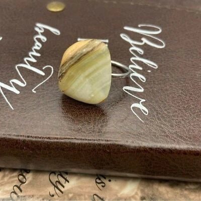 Anillo trasero abierto de acero inoxidable con ágata Oregon Coast a rayas hecho a mano Foto 1 de 4