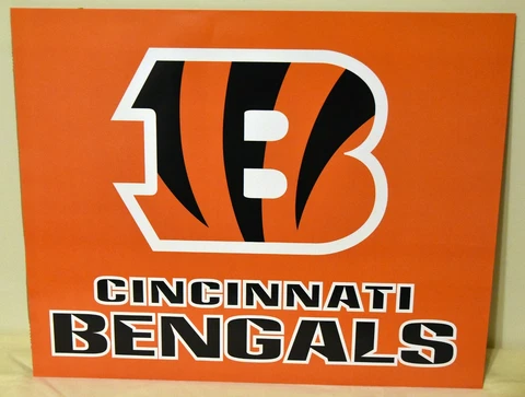 CINCINNATI Bengals Logo NFL Football 16x20 Poster Cover