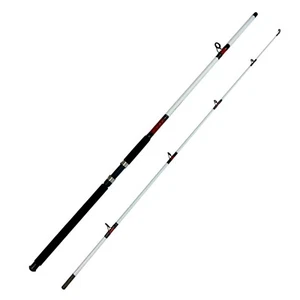 15-30 lb. 10 ft. Surf Rod - 2pc. Saltwater Fishing - "White Beast" - Picture 1 of 1