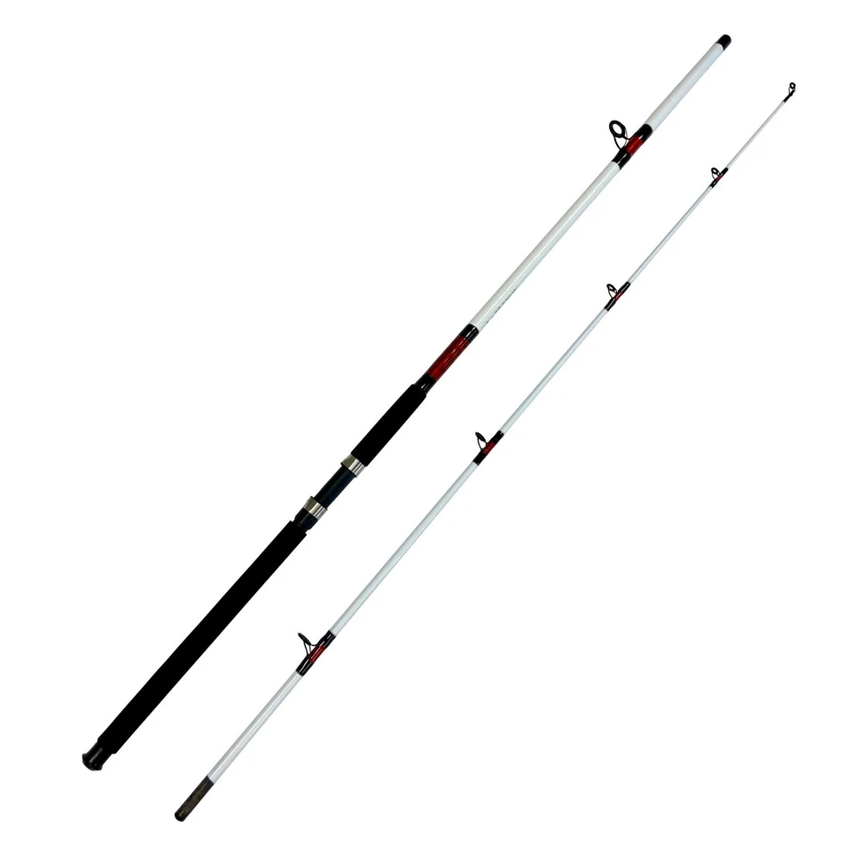 15-30 lb. 10 ft. Surf Rod - 2pc. Saltwater Fishing - "White Beast" - Image 1 of 1