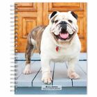 Bulldogs A5 Diary 2024 - Dogs - Week To View