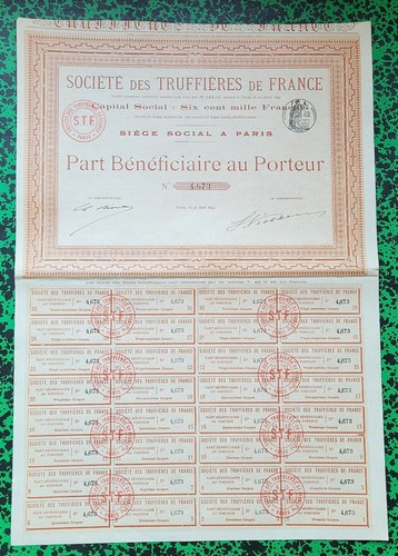 Foto 1 di 1