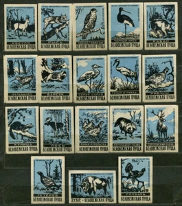 1960, ANIMALS, RESERVE BELOVEGHSKAYA PUSHCHA, SET OF 18 RUSSIAN MATCHBOX LABELS - Picture 1 of 1