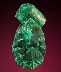 Melanson TN Collection Malachite after Azurite Tsumeb Mine, Namibia 1212-3551 - Picture 1 of 4