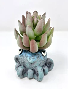 4.5 in. Potted Blue Inky OCTOPUS Blob House Mini pot WITH faux succulent plant - Picture 1 of 8