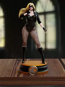 Black Canary - Resin Model Kit - 3DPrint - 1/10,  1/8, 1/6, Scale - Picture 1 of 8