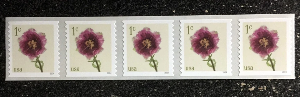 2024USA #5902 1c Fringed Tulips - Coil Strip of 5  Mint NH    flower - Image 1 of 1