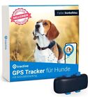 Tractive GPS Tracker für Hunde, Empfohlen von Martin Rütter, Weltweite Live-O...