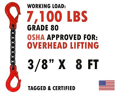 3/8  X 8' FT Single Leg Grade 80 Lifting Chain Sling Safety Latch Hook 7,100 Lbs • 79.99$