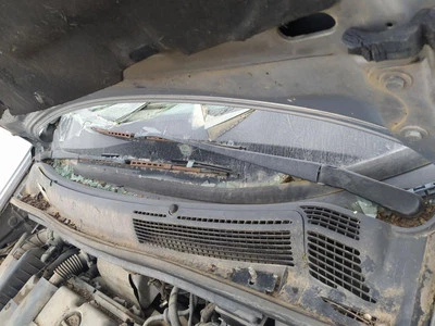 Mondanatura per OPEL ZAFIRA A Elegance 2000 1676410 - Immagine 1 di 4