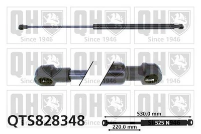 QUINTON HAZELL QTS828348 Amortiguador de maletero 530mm para DACIA Lodgy (JS) - Imagen 1 de 4