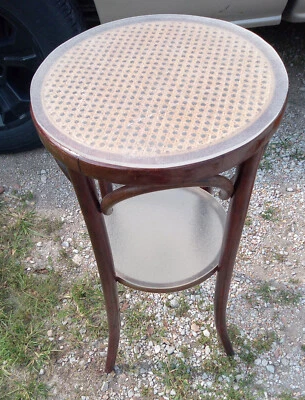 Soporte para plantas de ratán y caña (PS-246) Foto 1 de 4