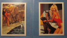 1996 Diamond Publishing Baywatch Album Stickers Baywatch #33,34 Pamela Anderson