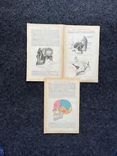 Original 1913 Anatomy Pages of Human Body, Anatomy Physiology Textbook Gifts, T