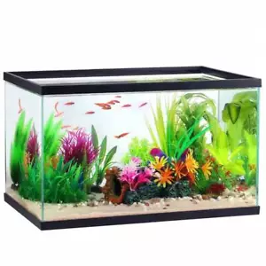10 Gallon Clear Glass Aquarium Container-Limited - Picture 1 of 3