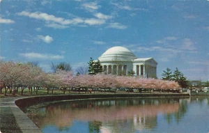 Vintage Jefferson Memorial w Cherry Blossoms Washington DC Postcard - Picture 1 of 2