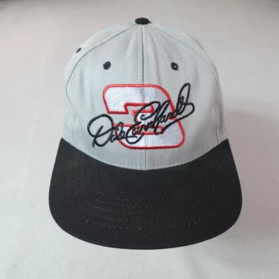 Vintage Dale Earnhardt Hat Cap Snap Back Mens One Size Gray NASCAR Racing 90s — 第 1/4 张图片