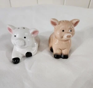 Keramik Schwein Salz und Pfefferstreuer - Bild 1 von 7