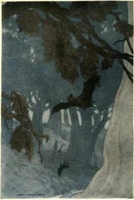 Folks of the Wood Art Print – Charles Livingston Bull 1914 Wildlife Illustration - Image 1 of 2