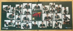 THE MINNESOTA WILD, SUPER RARE ! COLLECTOR'S POSTER, WOW ! 10" x 25" - Picture 1 of 1