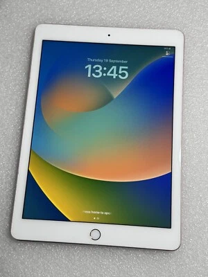 Apple iPad Pro 1st Gen. 256GB, Wi-Fi Only, 9.7 in - Rose Gold- ref: 352 - Image 1 of 4