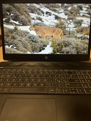 HP Pavilion 15-cx0004nl 15,6" (Intel Core i7-8550U, 1.80GHz, 8GB RAM, 1TB HDD e - Immagine 1 di 4