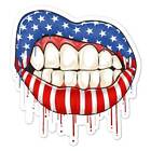 USA American Flag Lips, Vinyl Decal Sticker, Indoor Outdoor, 3 Sizes, #8046