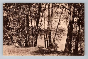 Northfield MA-Massachusetts, Birken auf Northfield Campus Vintage Postkarte - Bild 1 von 2